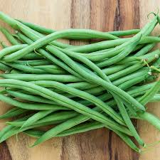 Top Crop - Bush Bean