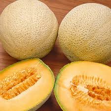 Hales Best Jumbo - Cantaloupe