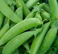 Sugar Snap - Pea