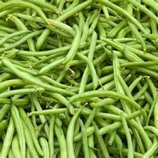 Top Crop - Bush Bean