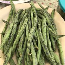 Rattlesnake - Pole Bean